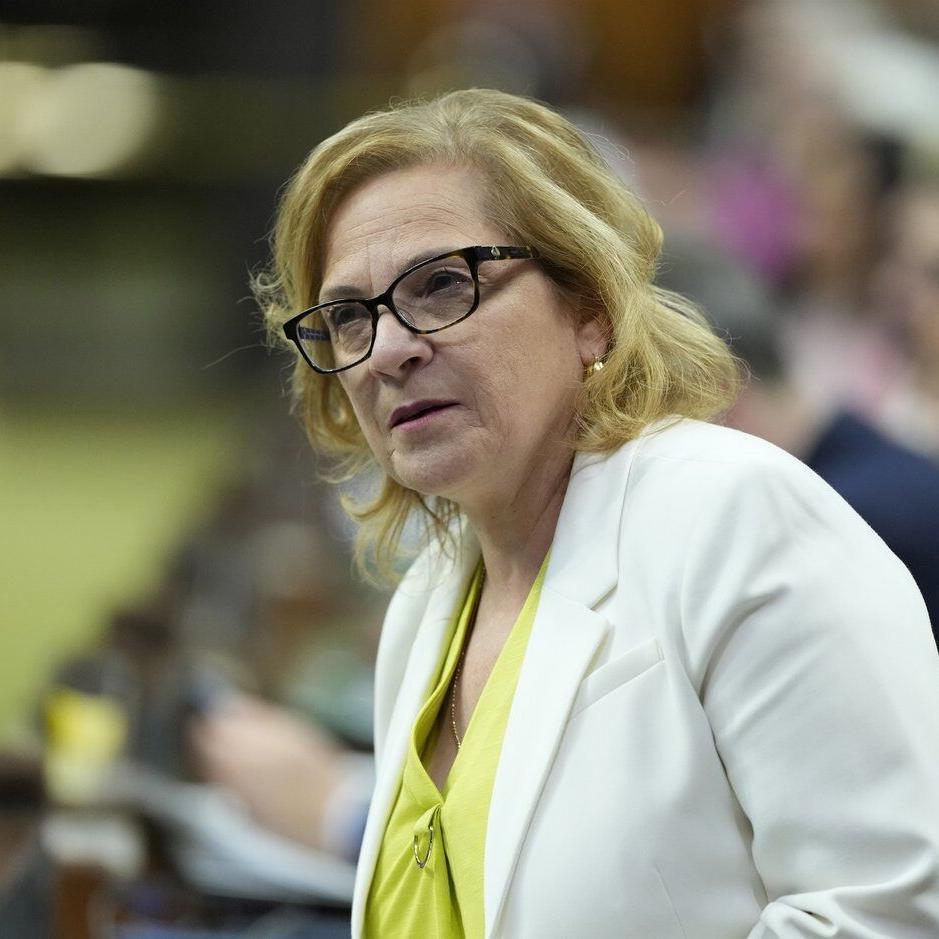 Trigger for new immigration powers 'intentionally not defined' in border bill: Diab